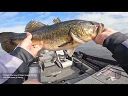 Stop Missing Big Bass: Alton Jones Jr's MUST-KNOW Spinnerbait Secrets!