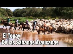 En las sabanas del Topay