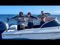 Top Water Yellowfin Tuna, Northern NSW