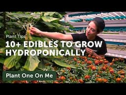 Top 10+ EDIBLE PLANTS to Grow HYDROPONICALLY — Ep. 394