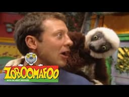 Zoboomafoo with the Kratt Brothers! POP GOES THE TIGER | Full Episodes Compilation