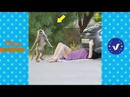 Best FUNNY Videos 2024 😂😁 1 Hours Instant Regret Fails Compilation Of The Year Part 8