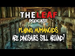 EVERYONE Was Staring at it | Encounters with UNKNOWN Creatures TheLeaf Podcast