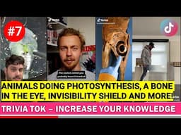 Trivia Tok #7 | Increase your knowledge | Tik Tok Compilation 2021