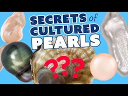 All About Cultured Pearls - Deep Dive with Pearl Expert!