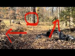 Bigfoot Sasquatch Sentry Detects His Location And Then Sends In The Rest From The Right And The Left