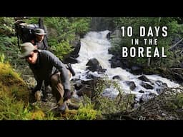 10-Day Trip into the Boreal Wilderness - Wabakimi