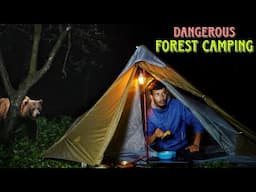 Solo Camping In Forest | Surviving 24 Hours In Most Dangerous Jungle | Winter Camping In India