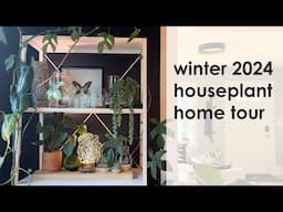 Winter 2024 Houseplant Home Tour