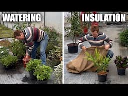 How To Water Through Winter & Cold Protection for Pots (Zone 8a) | Garden Winter Survival Guide