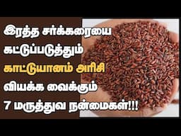 காட்டுயானம் அரிசி நன்மைகள்| Health Benefits of Kattuyanam Rice Tamil |Diabetic rice| kattuyanam rice