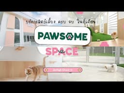 ที่ที่เธออยากพาน้องหมาไป เราหามาให้แล้วนะ Pawsome Space สาขาใหม่ที่กรุงเทพ !!! l Jerhigh Check in