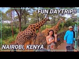 Private Tour of NAIROBI City Capital of Kenya 🇰🇪