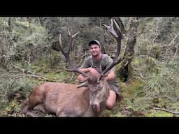 Two Giant Wilderness Red Stags - Part 2 - New Zealand Hunting