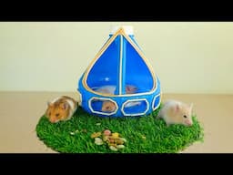 DIY Craft How To Make a Bottle Plastick Hamster House