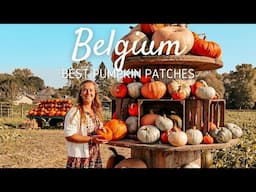 The best pumpkin patches in Belgium to visit during autumn