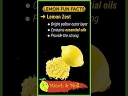 What is the Difference Between Lemon Zest and Lemon Peel?