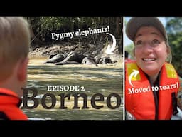 Family have EPIC elephant encounter in Borneo | Kinabatangan River Cruise SABAH