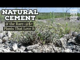 Natural "Caliche" Cement & the Rare Plants That Love It