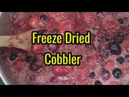 Freeze Dried Mixed Berry Cobbler with  Twist