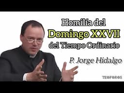 Homilía del Domingo XXVII del Tiempo Ordinario - P. Jorge Hidalgo