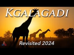 Kgalagadi Transfrontier Park Revisited 2024