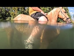 Our "GROOVY" New Horse Goes Swimming!