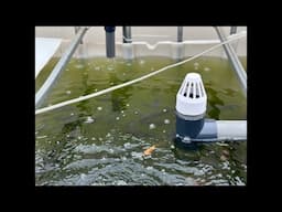 Exclusive Backyard Aquaponics System Breakdown