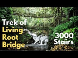 Double Decker Living Root Bridge 😍 #indiatrip