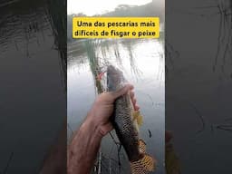 Traíra no Rato de Borracha - Pescaria Difícil e Chata pra Fisgar o Peixe - Tem que Praticar Muito