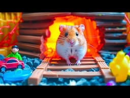 Hamster Epic Journey Through the Lava 🔥 Filled Volcano Maze 🐹 Mini Danisa