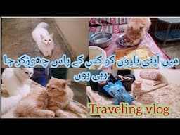 Cats ko kis k pass choor kar ja rai hn ? Traveling with my family | KITTYcat Vlogs