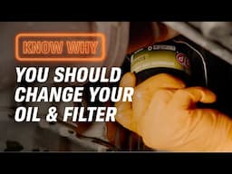 Why Do You Need to Change Your Oil & Oil Filter?