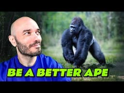 Be a better ape