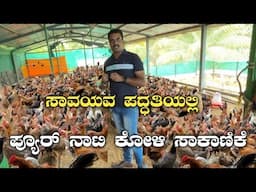 ಪ್ಯೂರ್ ನಾಟಿ ಕೋಳಿ ಸಾಕಾಣಿಕೆ|pure nati Koli saakanike|pure nati Koli farm|pure nati chicken farming|