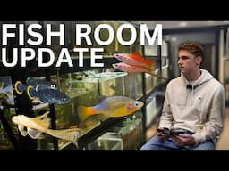 A First Look at My New Fish Room - 25 Aquariums!