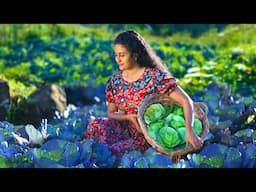 Cabbages! 🥬 for chicken kottu🍗 potato cheese rolls, pineapple salad & more!