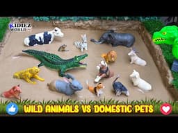 Wild Animals VS Domestic Pets Which Ones Are Smarter?