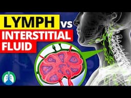 Lymph vs. Interstitial Fluid | What's the Difference?