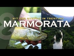 Mission Marmorata! Fangen wir die seltene Alpen-Forelle?