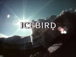 Icebird (1989)