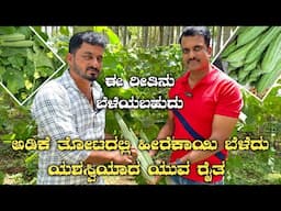 ವಿಭಿನ್ನ ರೀತಿಯ ಹೀರೇಕಾಯಿ ಕೃಷಿ|Ridge gourd farming|heerekaayi krushi|Heere|Ridge gourd cultivation