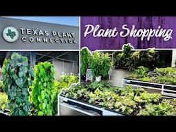 Rare Plant Wonderland: Texas Plant Connection Tour