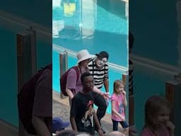 Zombie 🧟‍♀️ Tom mime SeaWorld #funny #seaworldmime #comedy #fun #funnyvideo #viralvideo