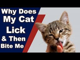 Why Does My Cat Lick And Then Bite Me