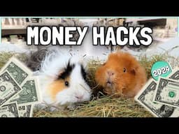 Testing 7 Guinea Pig Money-Saving Hacks! Save BIG! 💰