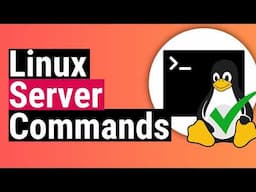 Most Useful Linux / Server Commands for Beginners