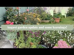 Mini garden updates and learnings!