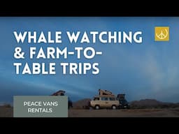 Take a Guided Camper Van Trip in Baja California - Whale Watching or Farm-to-Table Meals