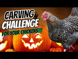 Pumpkin Carving Fun: Watch these Adorable Feathered Chicken Friends Create Halloween Magic!